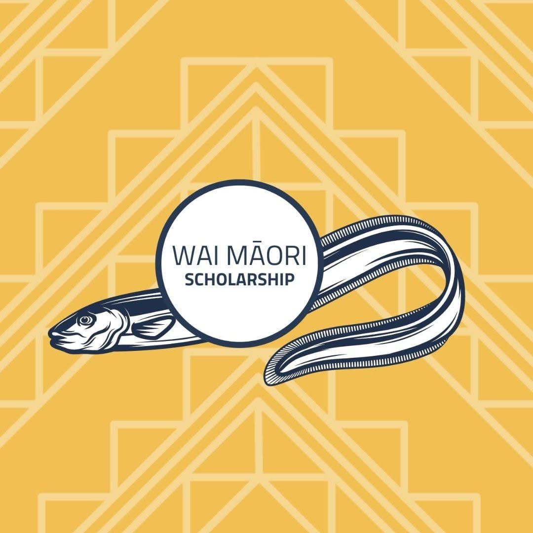 Wai Māori scholarships open