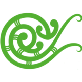 Te Rūnanga o Ngāti Rārua