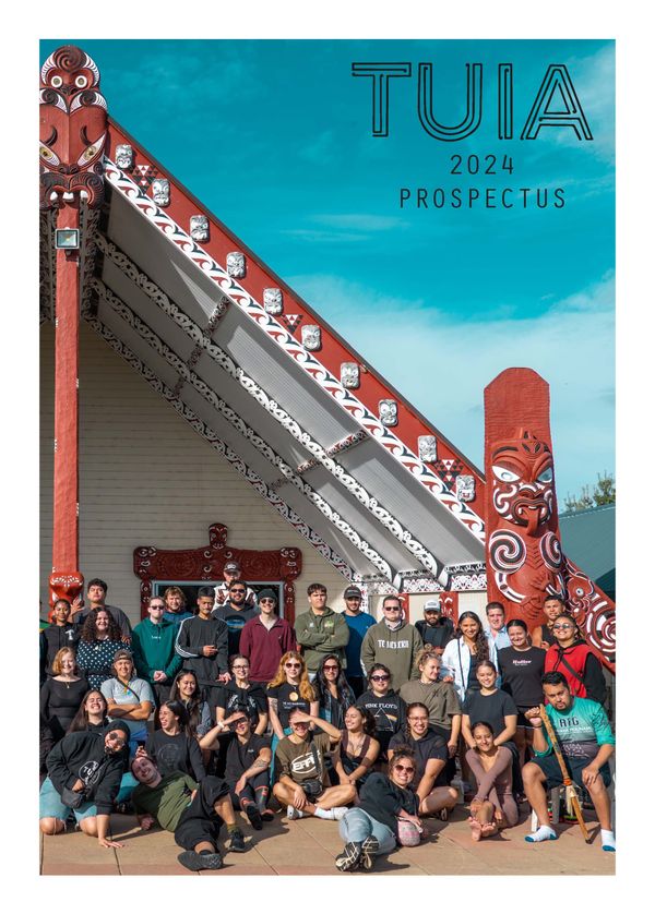 Tuia : Mentoring Rārua rangatahi