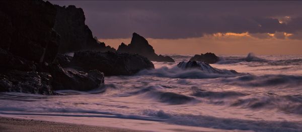 Pānui: Kotahitanga mō Te Taiao Alliance