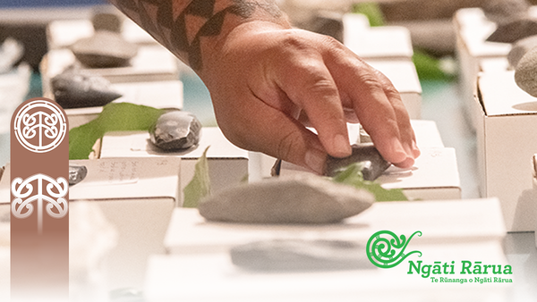 Opportunities - jobs, training, scholarships, representation