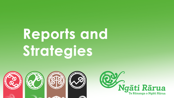 Reports & Strategies