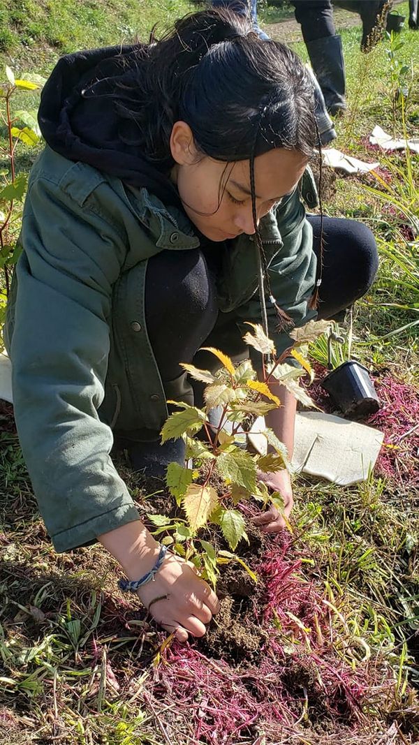 Papataiao Earthcare course in Mohua from April