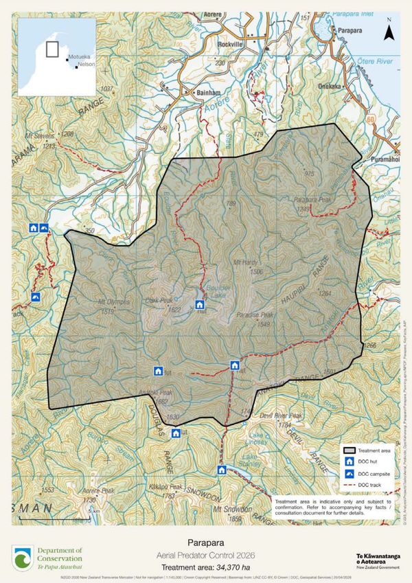 Parapara aerial predator control set to begin