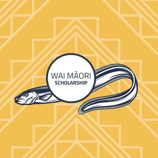 Wai Māori scholarships open