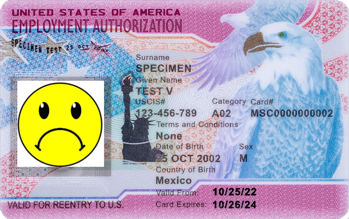 DHS E-Verify Guidance: Employers Identifying Revoked Permits