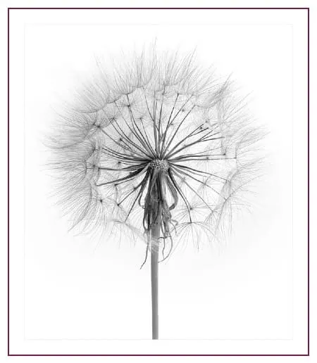 New Moon May 16, 2026