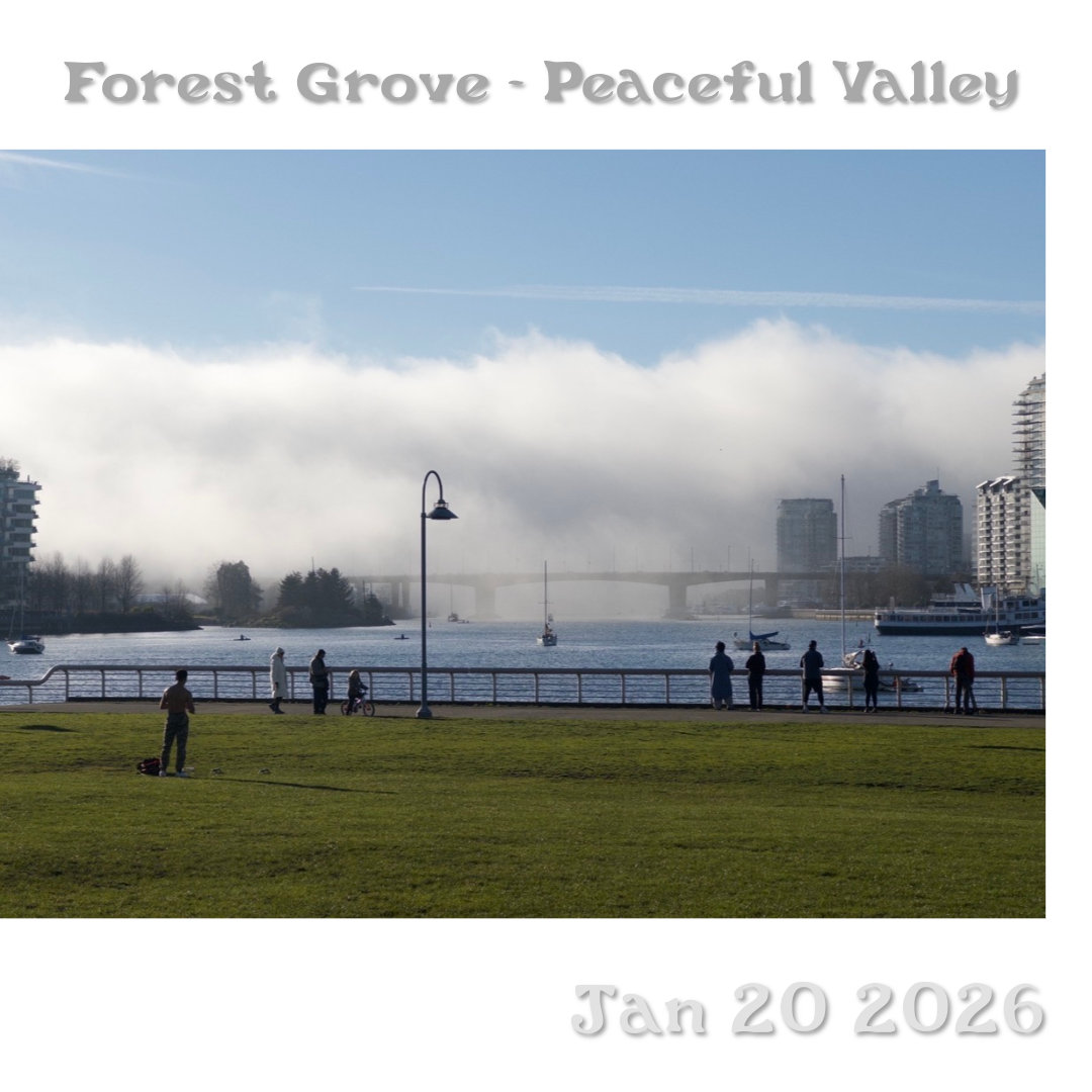 Forest Grove 21 - Jan 6th 2026 - The Peaceful Valley
