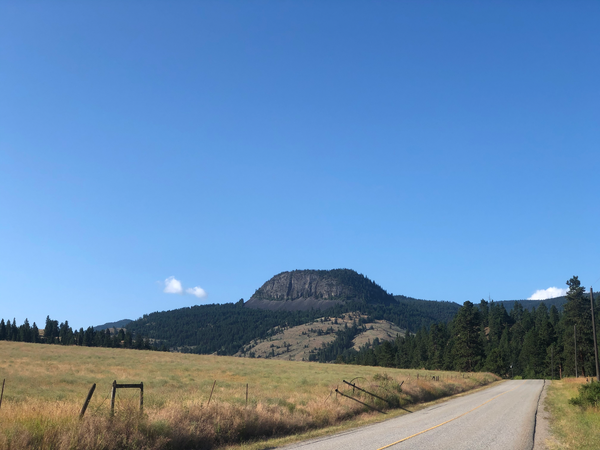 Forest Grove Archives