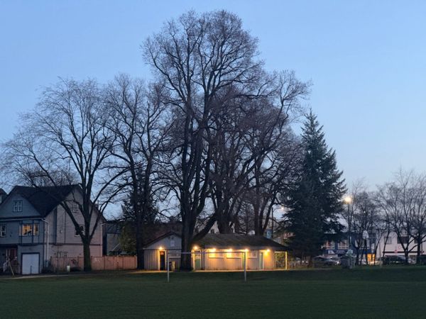 Forest Grove 24 - Feb 9 2026 - California Blue