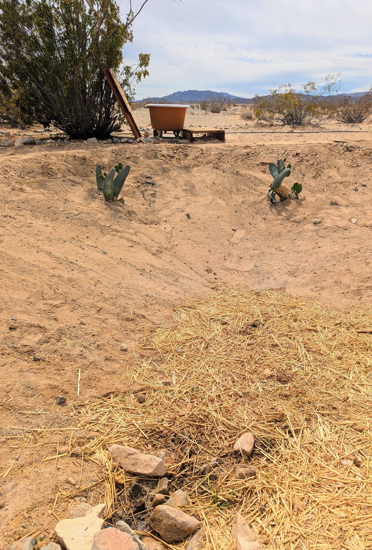 Quarterly Updates: The Rebirth of Spring