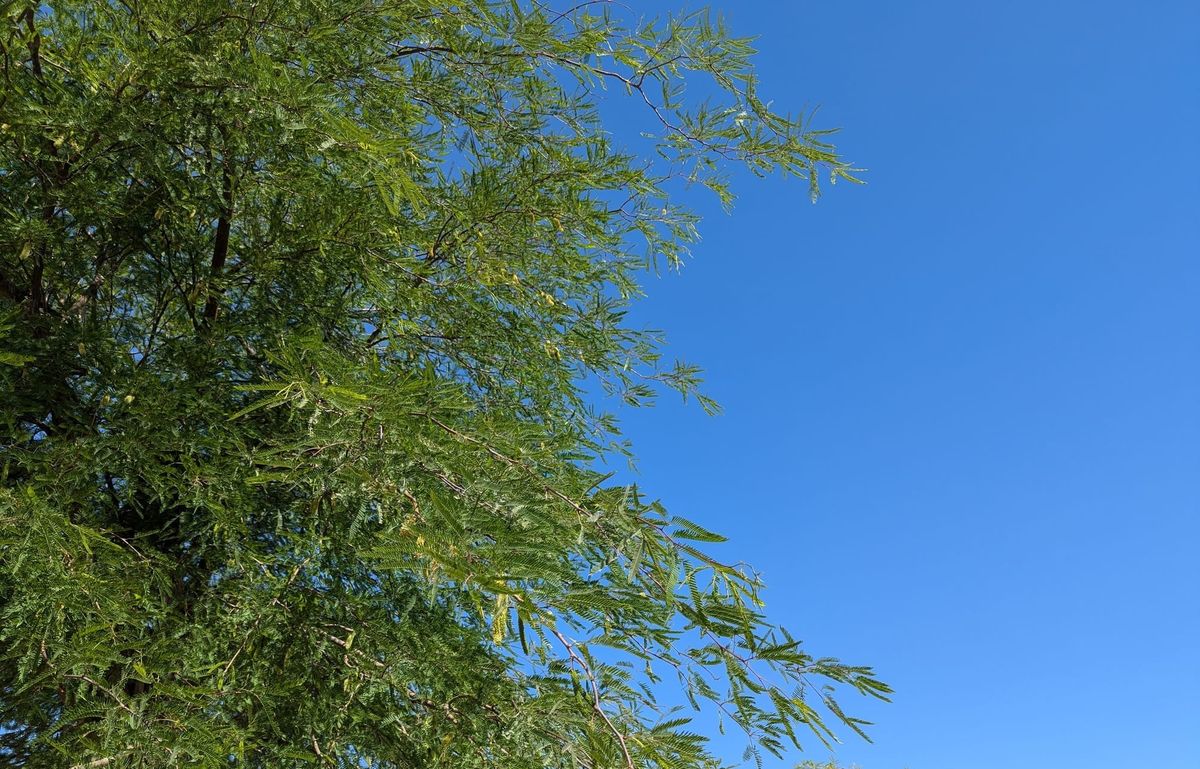 In Consideration of the Whole