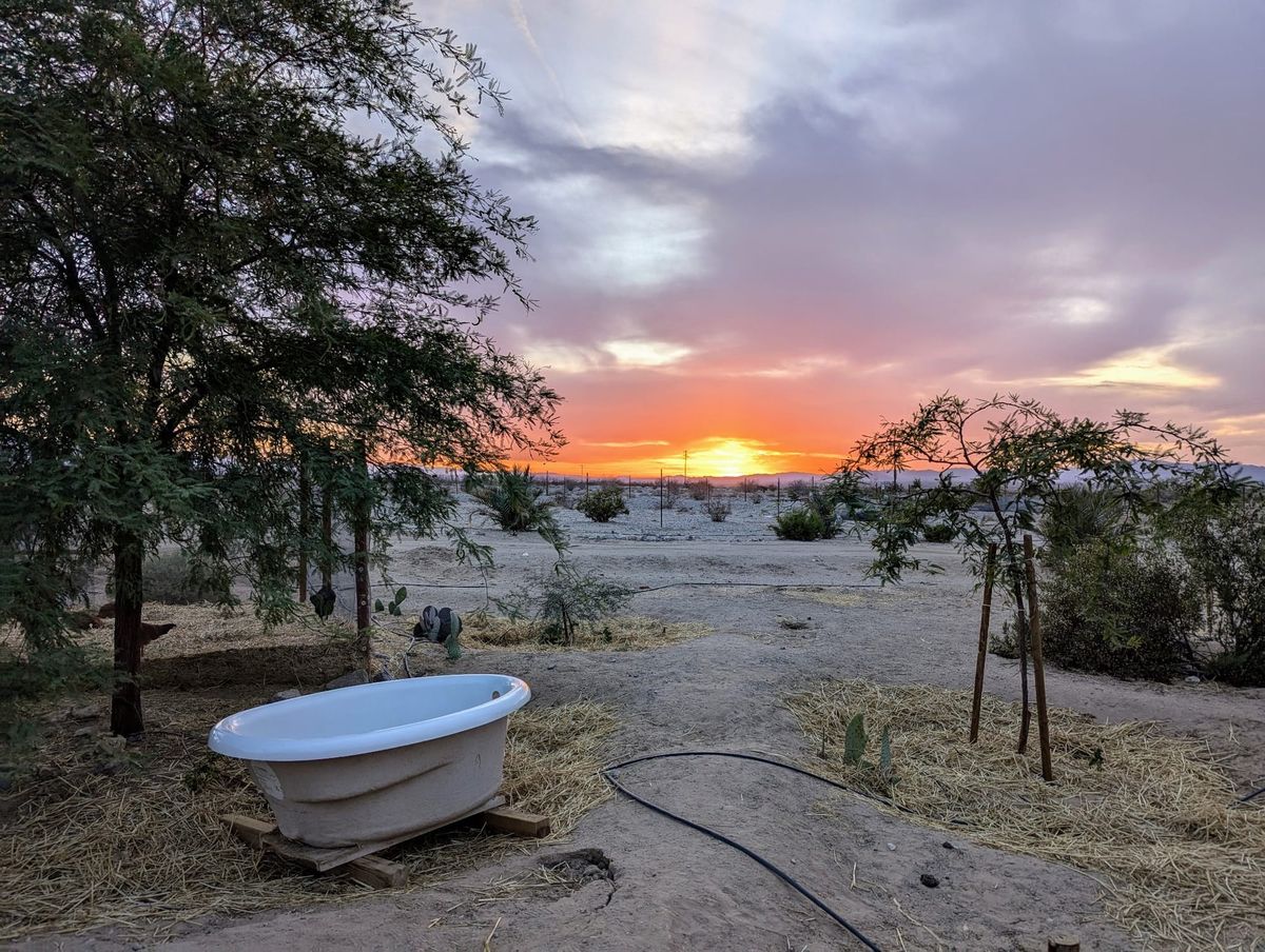 Quarterly Update: The Sun's Xenith