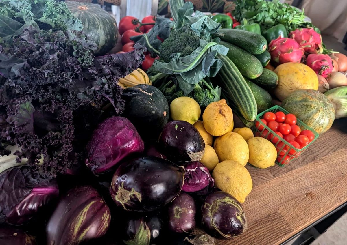 Eating Ethically on a Shoestring Budget