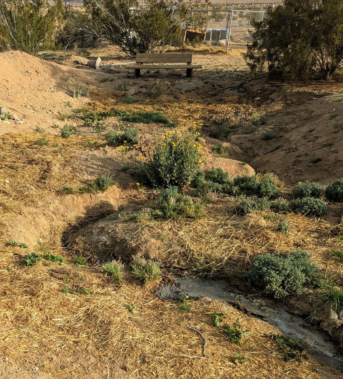 Quarterly Updates: the Season of Renewal