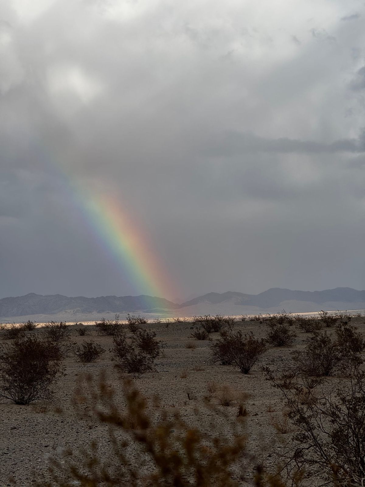 Essential Skills for the End of the World