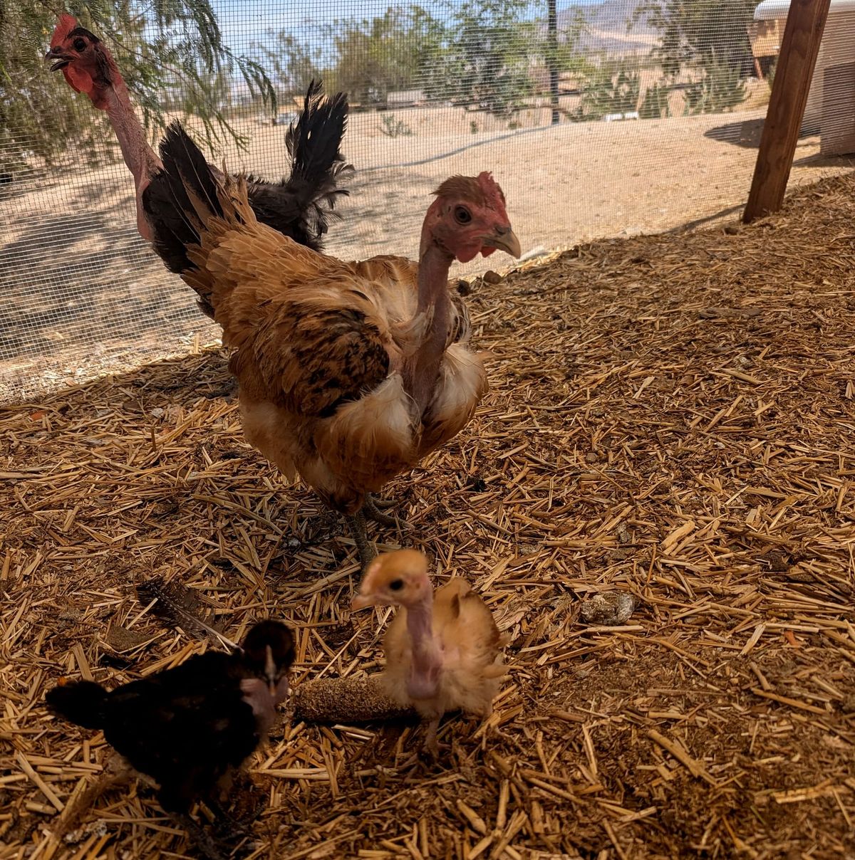 Quarterly Updates: A Season of Rest