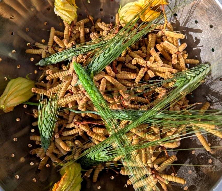 On Food Sovereignty