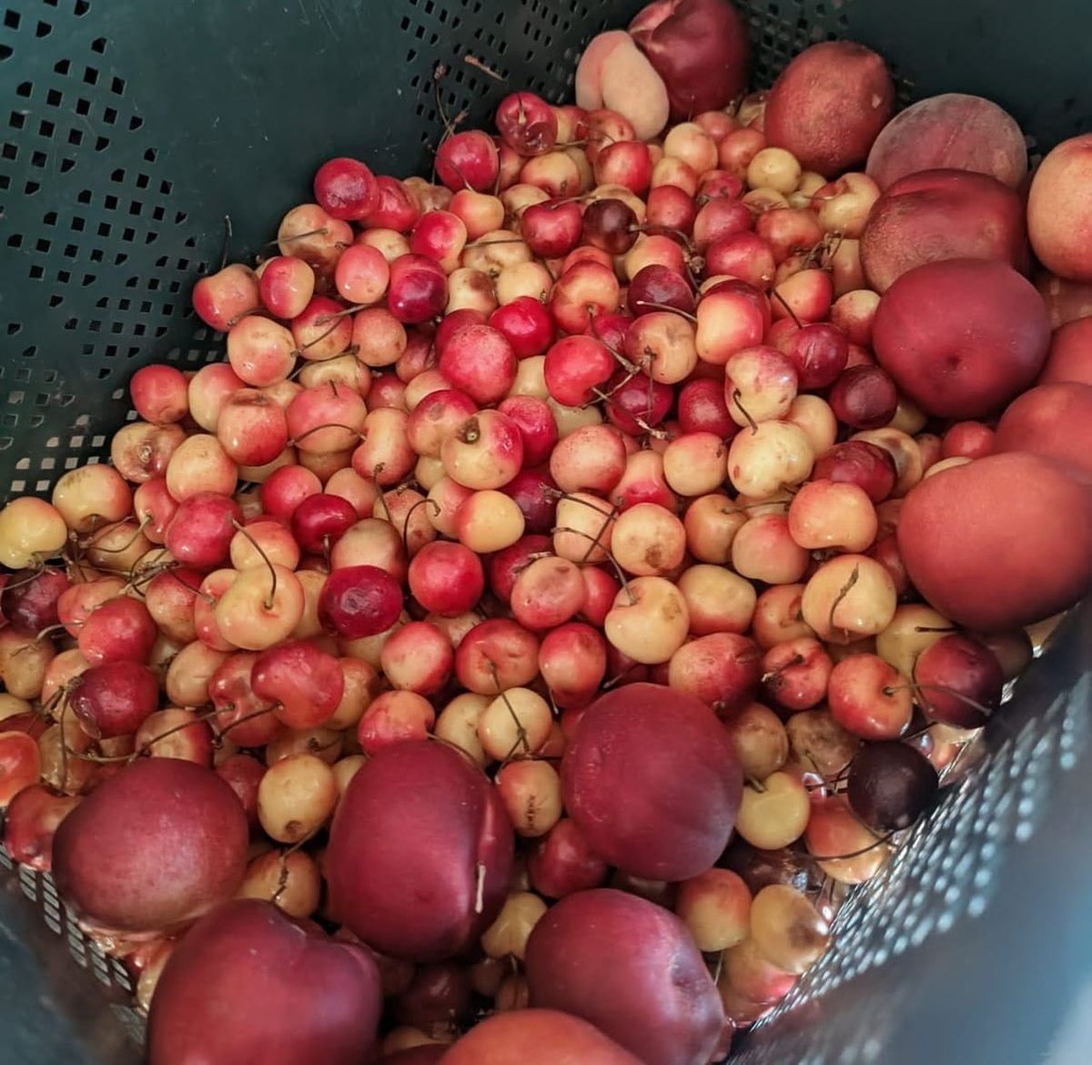 Start a Zero-Waste Lifestyle, Beginning in Your Kitchen