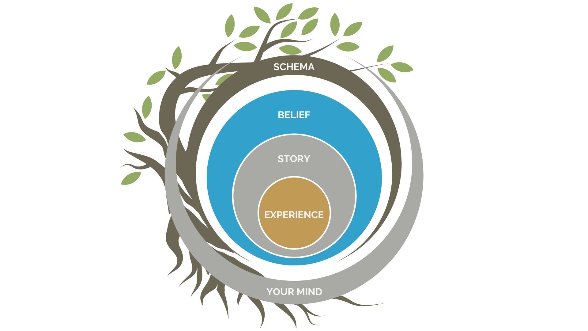 A digital graphic displaying the nested loops of experience, story, Belief and Schema: Open Loop Mastery