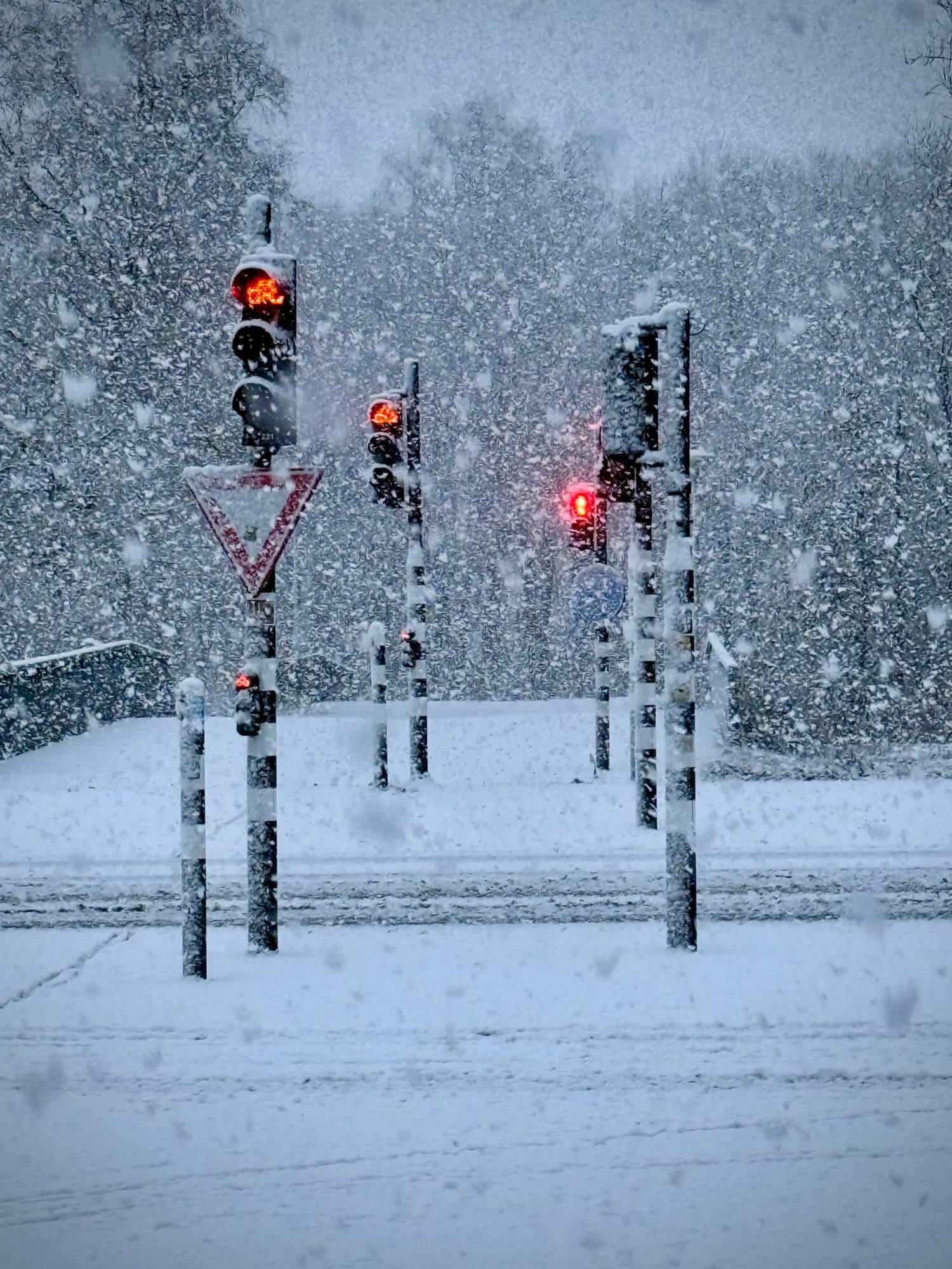 Waarom WhatsApp Channels onder de Digital Services Act kunnen vallen