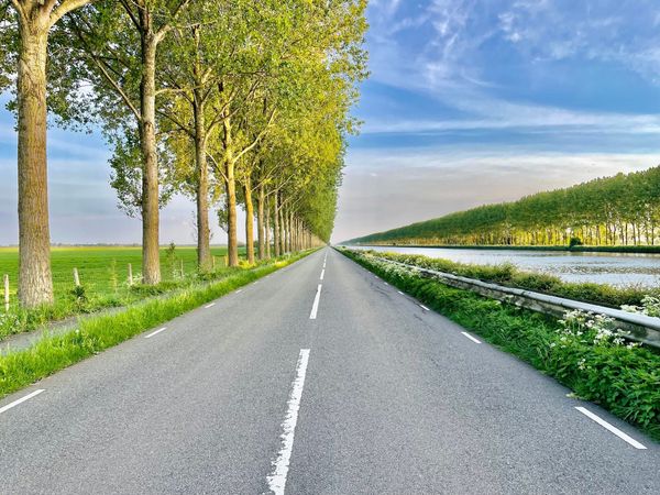 Diepe duik in de verschillende AI-modellen. Afbeelding is echt en geen AI.