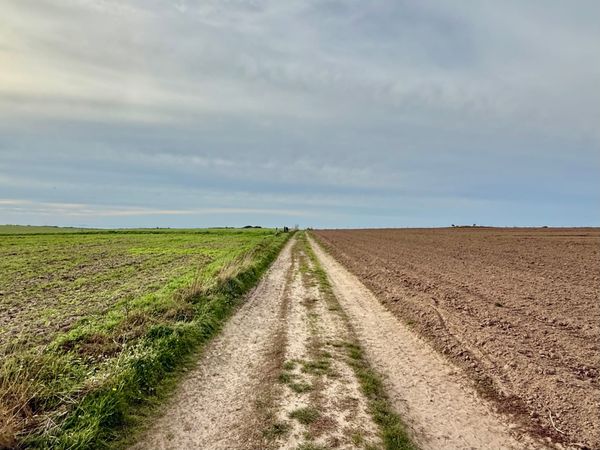 Van gratis naar betaald: hoe kies je het juiste AI-model voor je organisatie