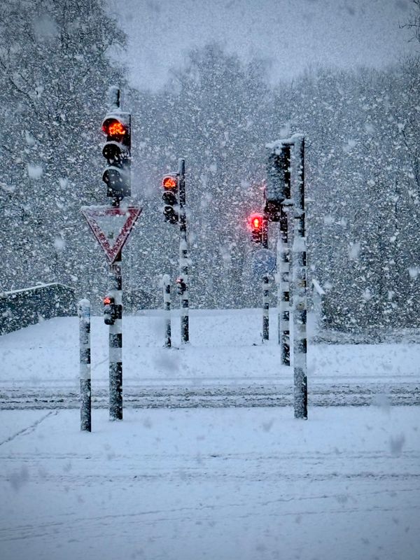 Waarom WhatsApp Channels onder de Digital Services Act kunnen vallen