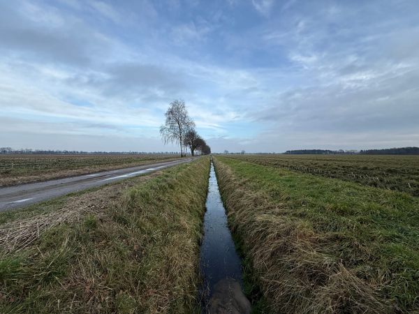 Waarom je chatbot straks Europees moet zijn (en hoe je dat slim aanpakt)