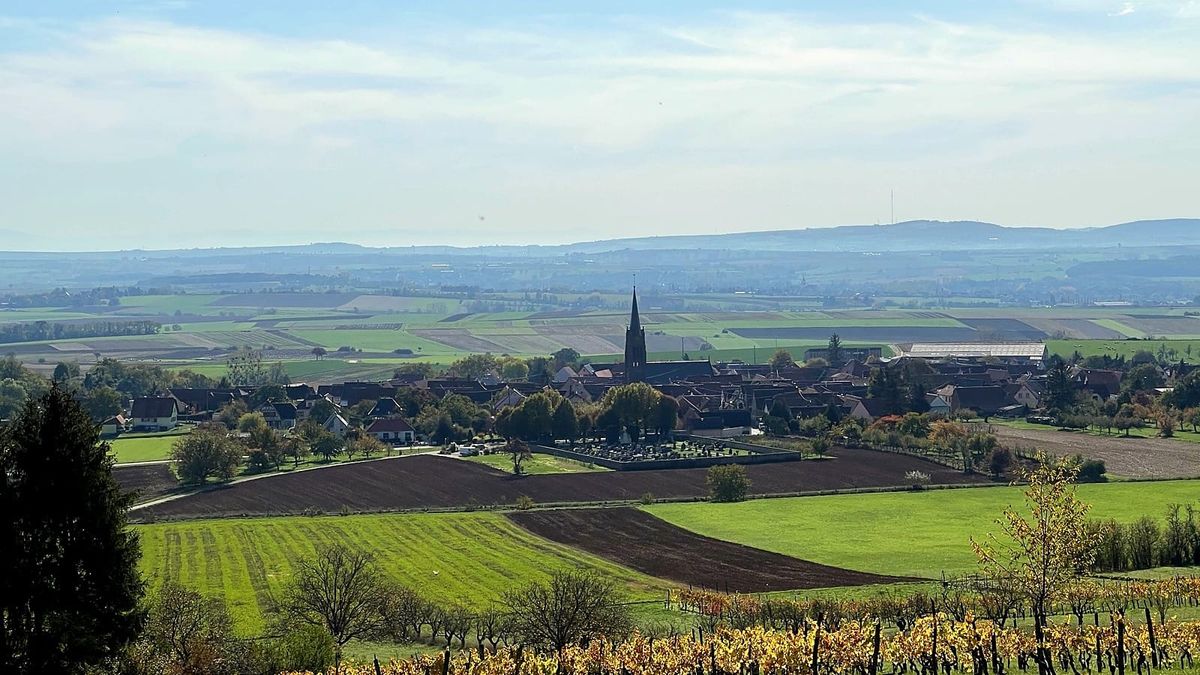 Village of Imbsheim, Alsace-Lorraine, with its church, cemetery, fields, and vineyard rows viewed from above; the Richert family emigrated from here to the United States in 1832.