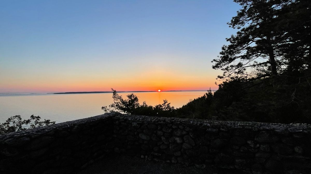 A sunset over calm water off Mackinac Island, framed by dark pine trees and a stone wall. Photograph by Scott P. Richert.
