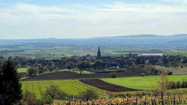 Village of Imbsheim, Alsace-Lorraine, with its church, cemetery, fields, and vineyard rows viewed from above; the Richert family emigrated from here to the United States in 1832.