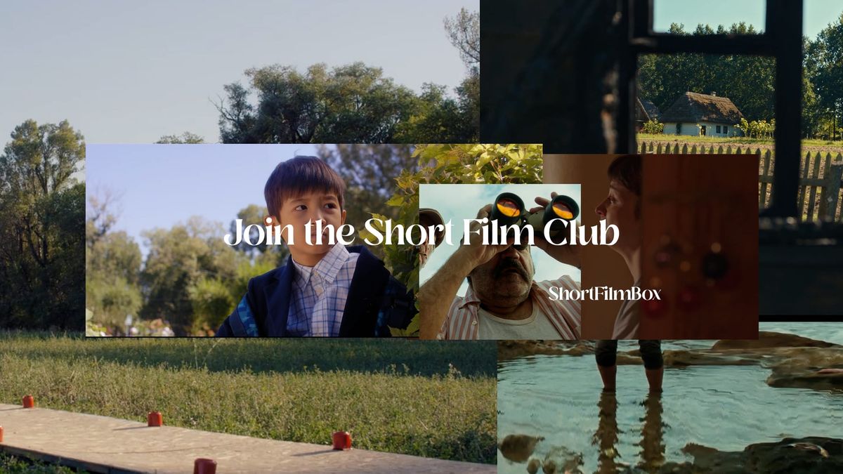 Animated Short Film: Boundless Storytelling and the Power of Global Distribution