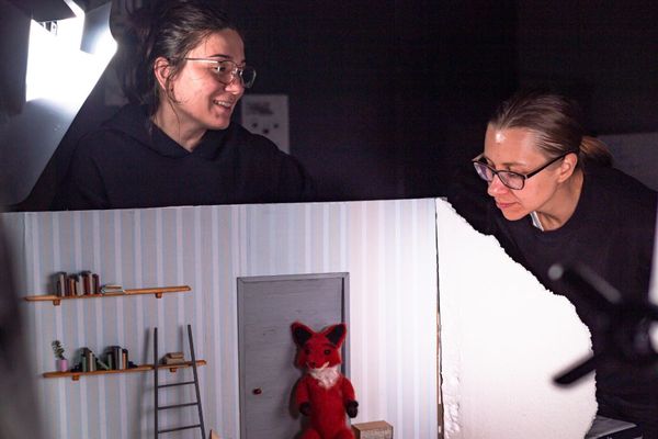 The Global Bridge of Short Film Distribution: ShortFilmBox Distribution and Revenue Models - Complete 2026 Guide