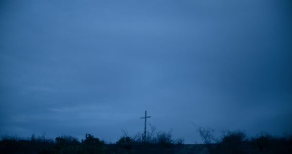 A Short Filmmaker's Greatest Dream: Winning an Award or Keeping the Film Alive? A Realistic Look at the Festival Circuit and What Comes After with Cineshort