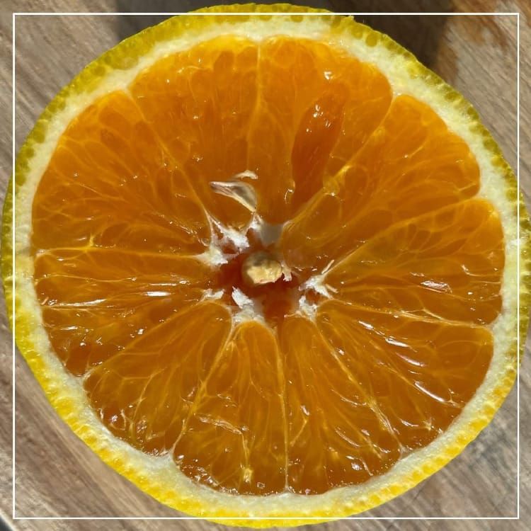 Orange Sauce