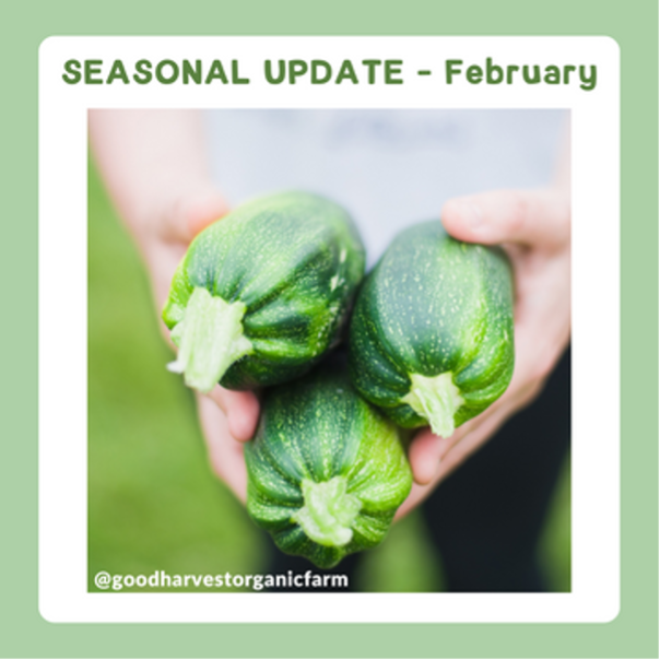 Good Harvest Seasonal Update
