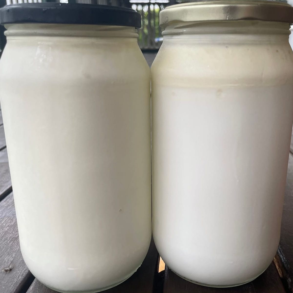 Yoghurt Recipe