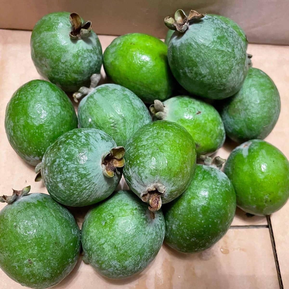 Feijoa - Seasonal Fruit Update