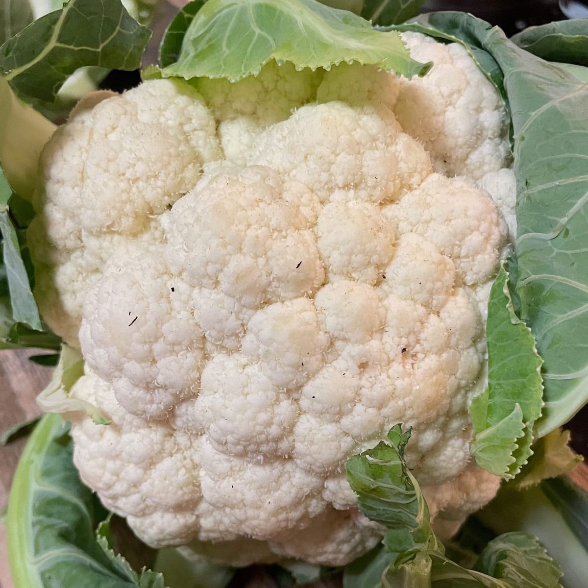 Roast Cauliflower