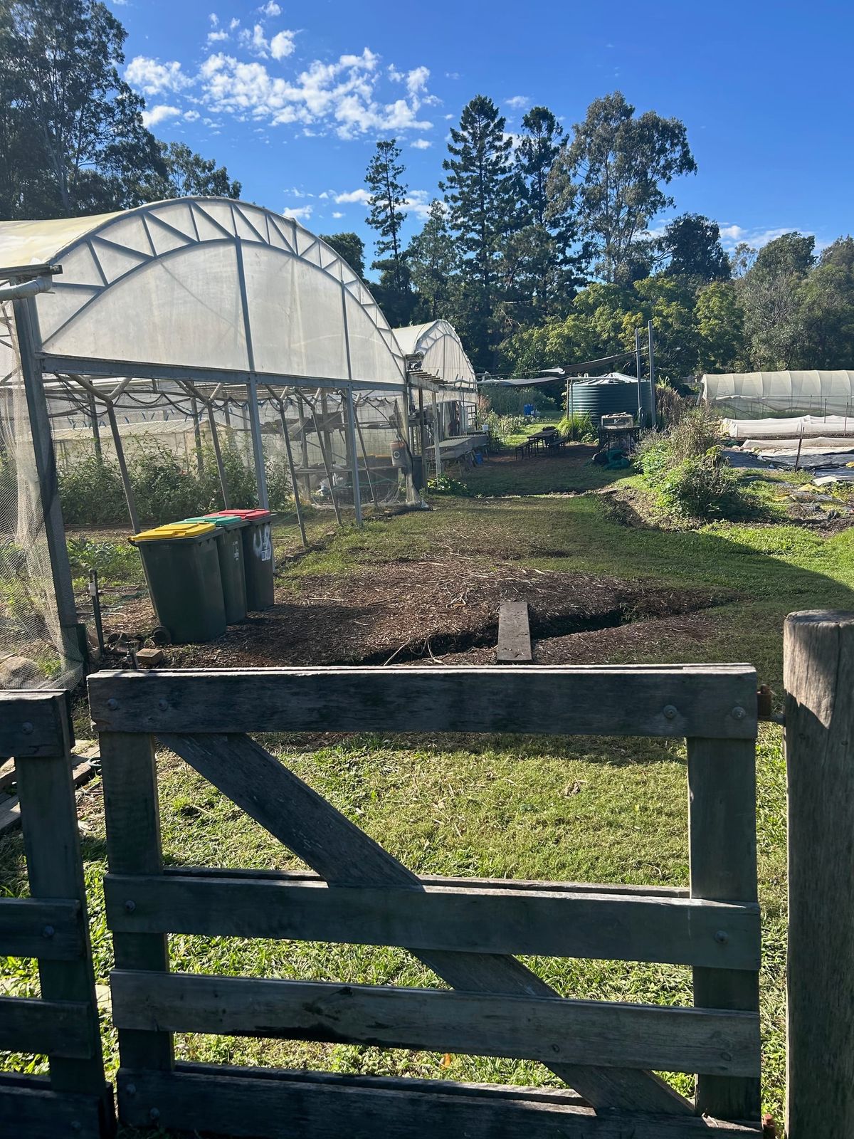 Neighbourhood Farm