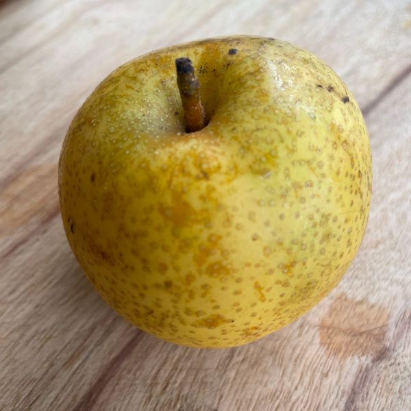 Nashi - Seasonal Fruit Spotlight