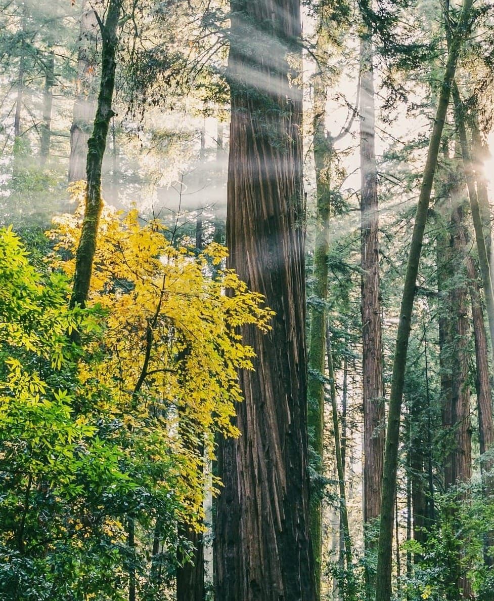 Spirituality What is the Meaning of the Word? Part Two Post feature image