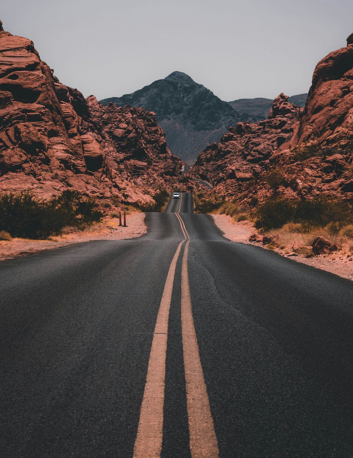 A Refugee from the Country of Addictions Post feature image