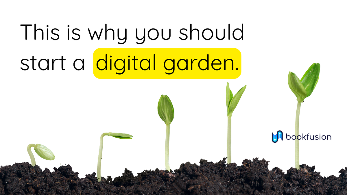 What a Digital Garden Can Teach You About Life