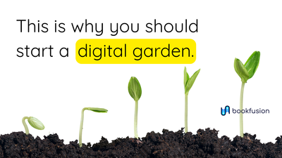 What a Digital Garden Can Teach You About Life