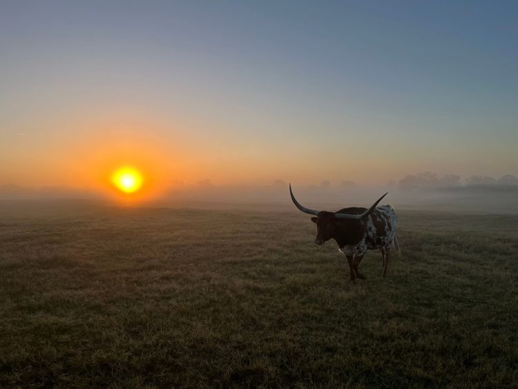 Crossing the Chasm from Producer to Processor