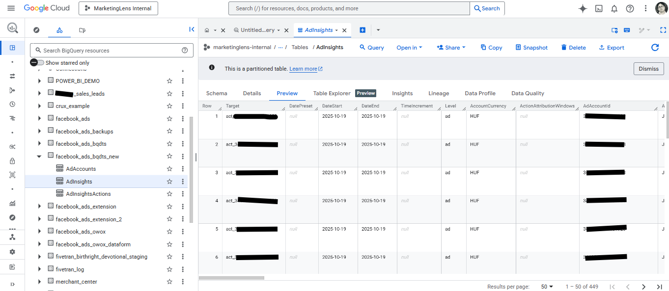 AdInsights table preview in BigQuery Facebook Ads Data Transfer
