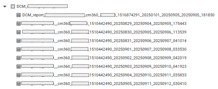 Dataset with DCM export tables in BigQuery.