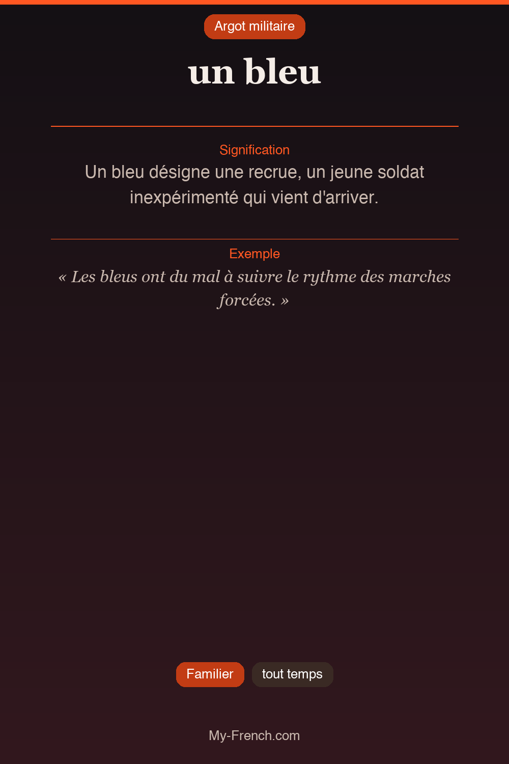 Argot français : un bleu